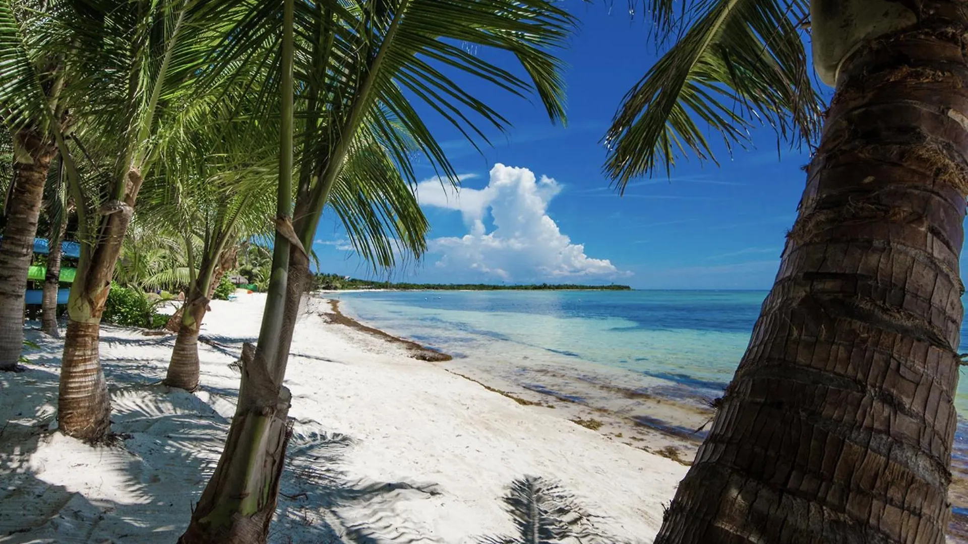 Beachfront & Private Villa In Tulum For 12 Guests Balcheil 0*,  Mexico